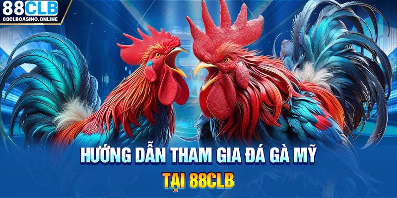 Đá Gà Mỹ