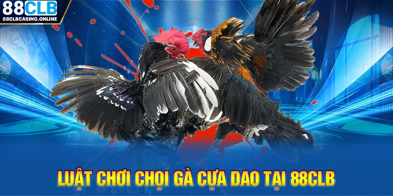 đá gà cựa dao