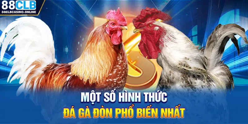 đá gà đòn