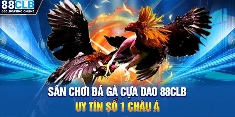 đá gà cựa dao