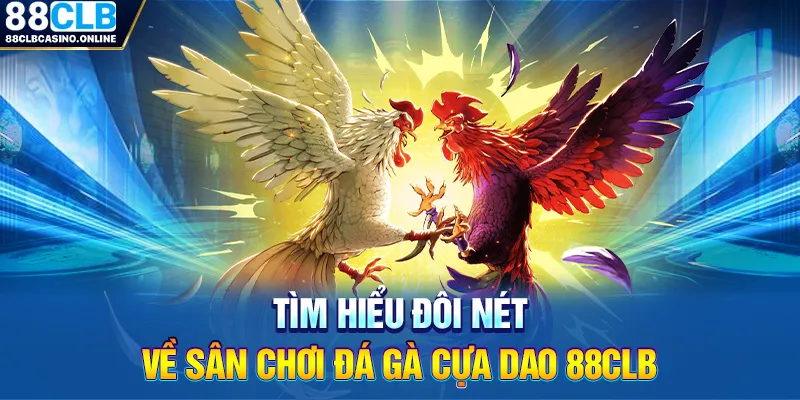 đá gà cựa dao