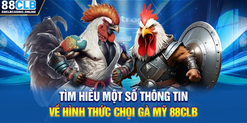 Đá Gà Mỹ