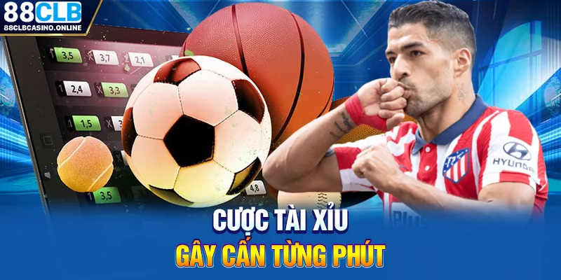 Cược tài xỉu gây cấn từng phút